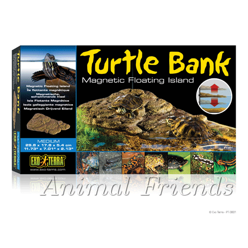 Turtle Bank Medium 29.8 x 17.8 x 5.4 cm 