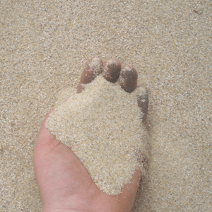 조류용 모래(병아리/메추리/애완닭) 5kg