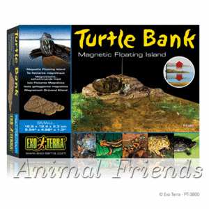 Turtle Bank  Small 16.6 x 12.4 x 3.3 cm  