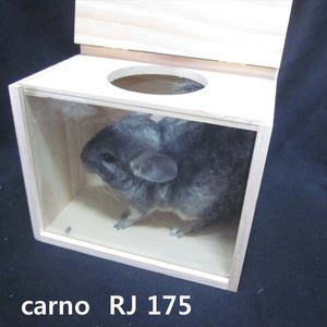 carno  RJ 175 (카르노 친칠라 목욕실)